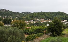 Apartments Ana